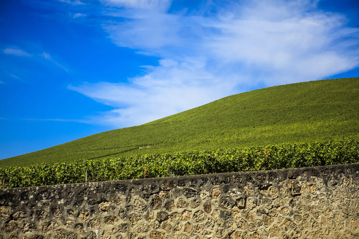 Производители от Шампан