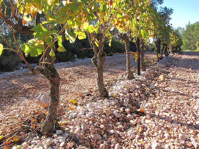 Château Gilbert & Gaillard