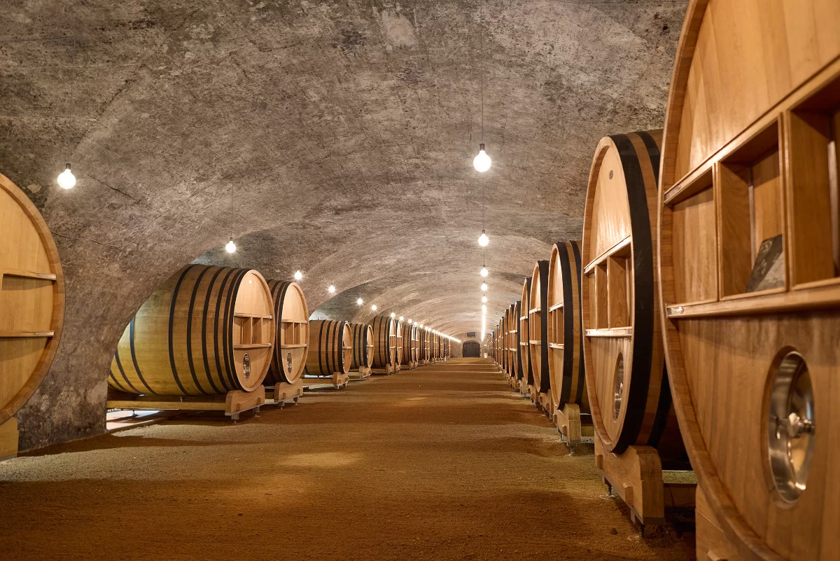 Château de La Chaize