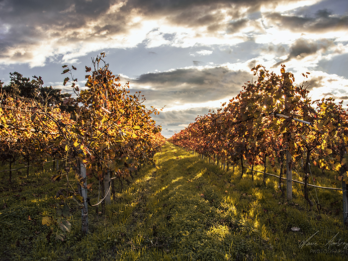 Château de la Négly