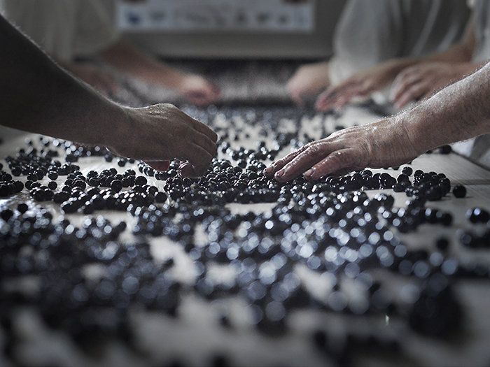 Château de la Négly