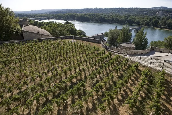 Долината на Рона