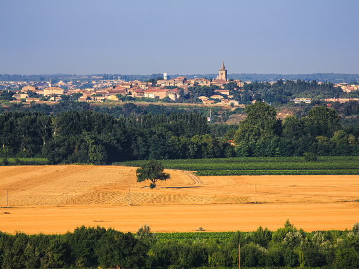 Domaine de Castelnau