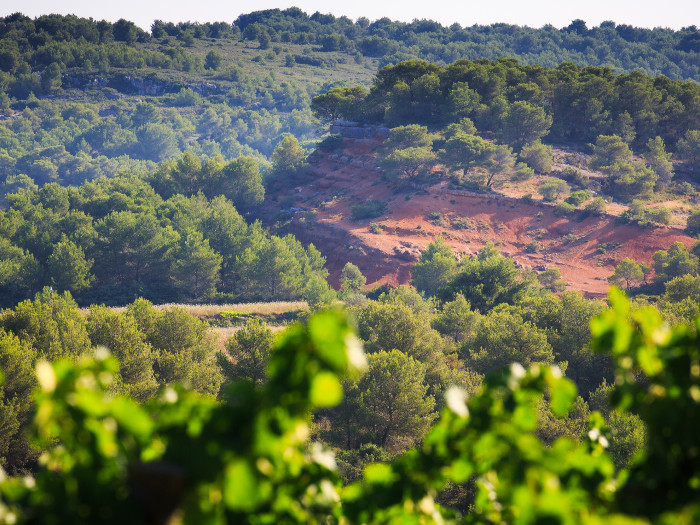 Domaine de Castelnau