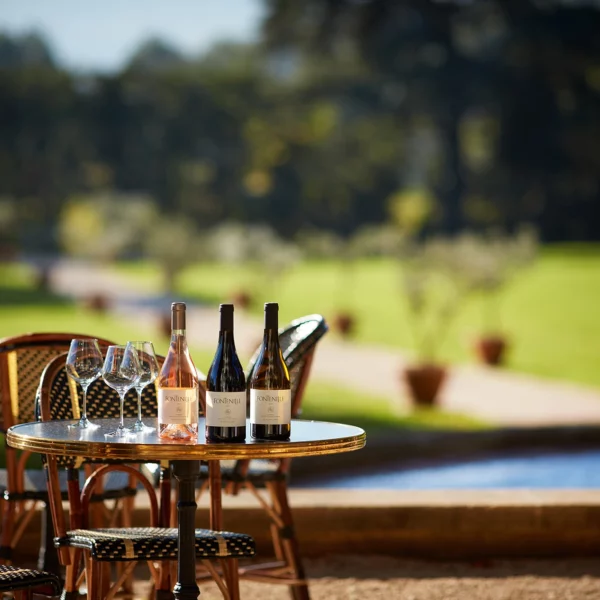 Domaine de Fontenille