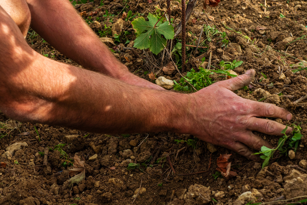 Domaine du Pré Semelé