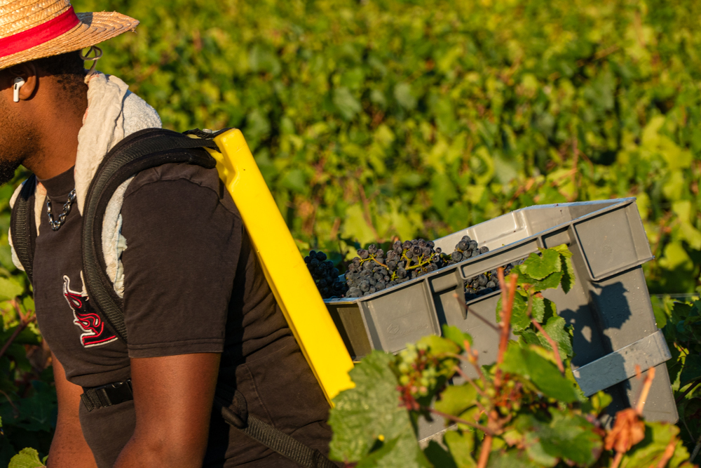 Domaine du Pré Semelé