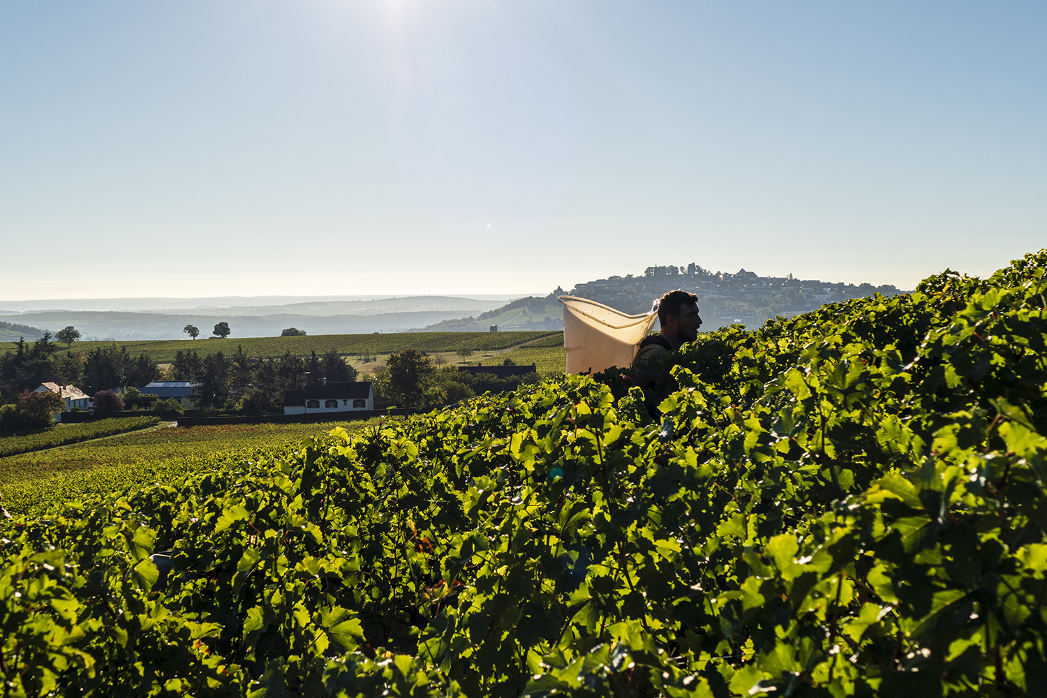 Domaine du Pré Semelé