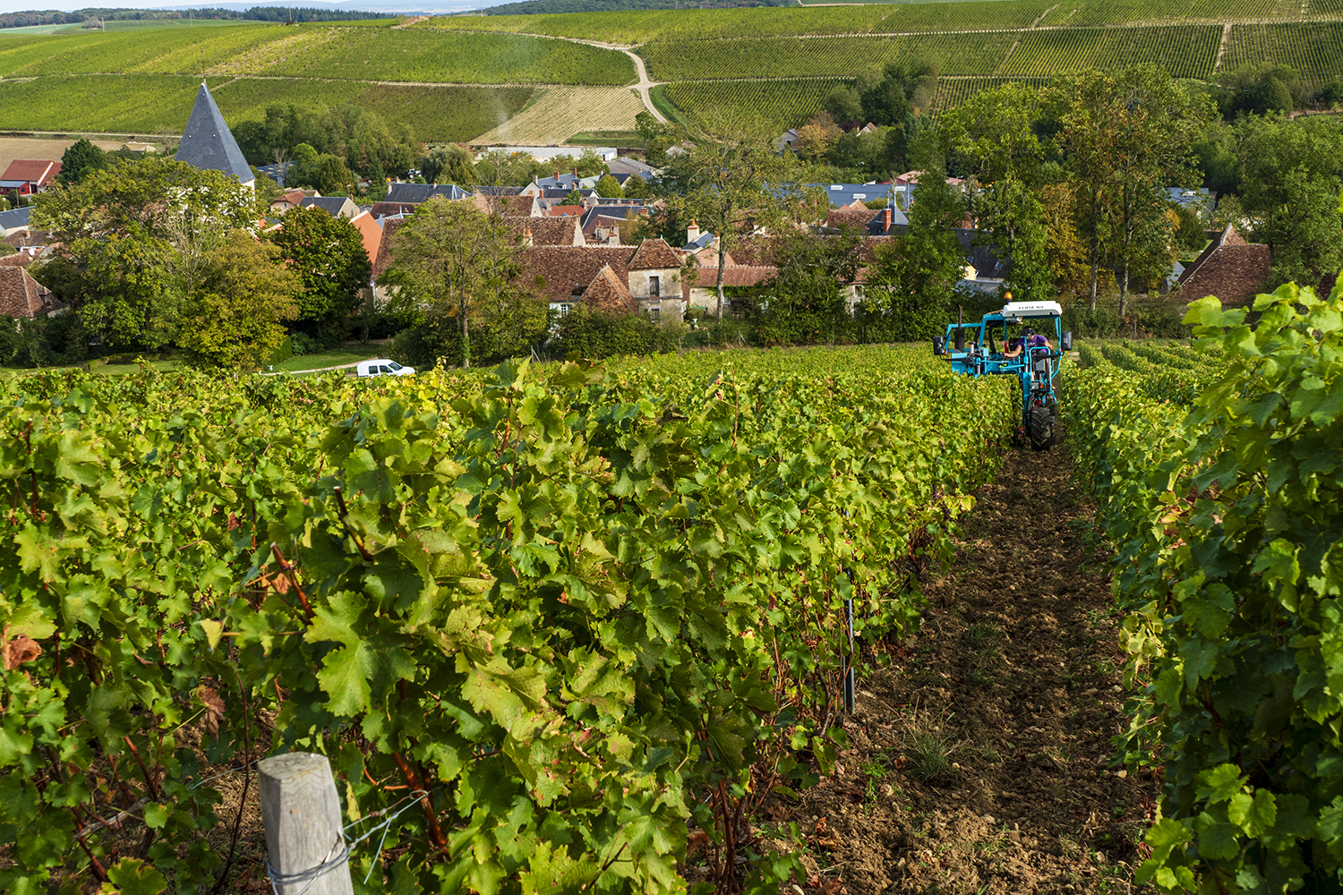Domaine du Pré Semelé