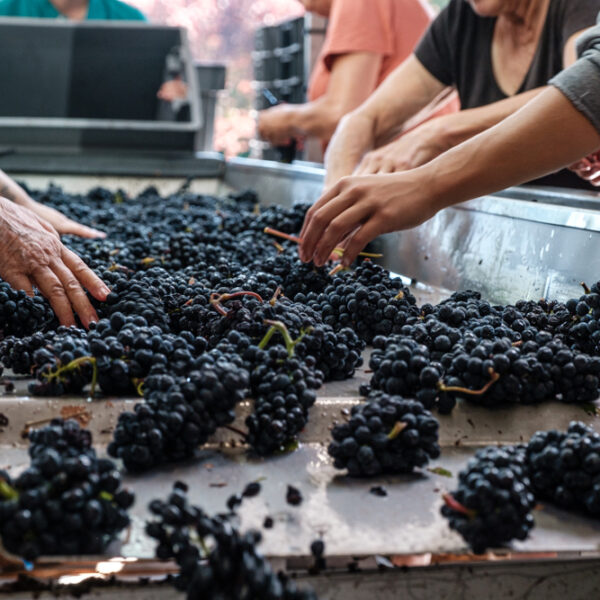 Domaine du Pré Semelé