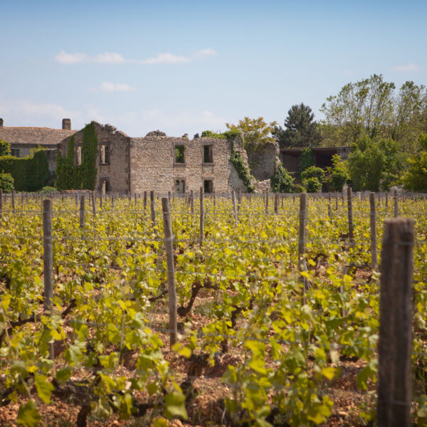 Domaines Paul Jaboulet Aîné