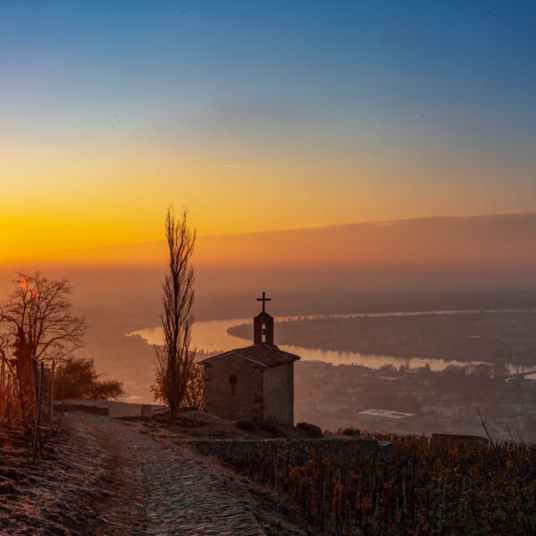 Domaines Paul Jaboulet Aîné
