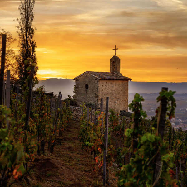 Domaines Paul Jaboulet Aîné