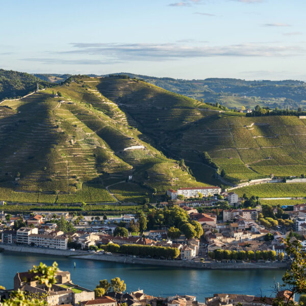 Domaines Paul Jaboulet Aîné