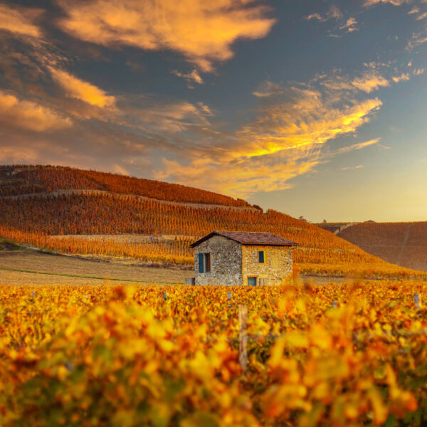 Domaines Paul Jaboulet Aîné