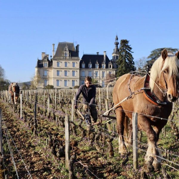 Domaine Jean Fournier
